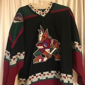 Vintage Phoenix Coyotes Sweater/Jersey